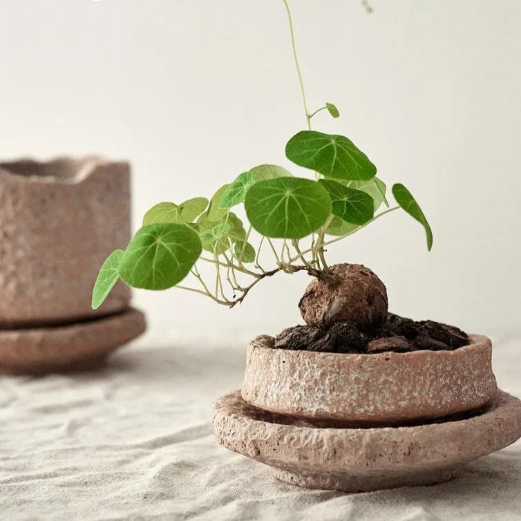 BADU DRAFT!Handmade Ceramic Flower Pot with Base Tray Green Plant Pots Flower Vase Garden Pots Planters Desktop Flowerpot Garden Supplies Artedimo 