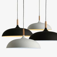 Thumbnail for Art Design Modern Ceiling Pendant Lamps 