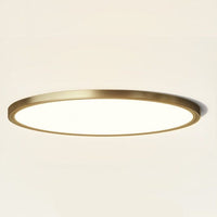 Thumbnail for LED round ceiling lamps