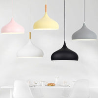 Thumbnail for Modern Ceiling Lamp