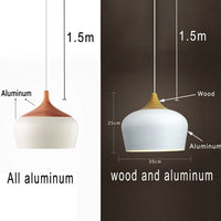 Thumbnail for LED minimalist ceiling lamp