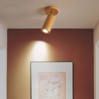 Thumbnail for Modern Luxury Ceiling Light