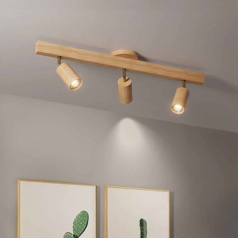 Up & Down Creative luxury Ceiling lamp